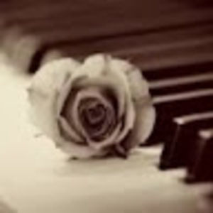 Meet your Posher, Jennalynn